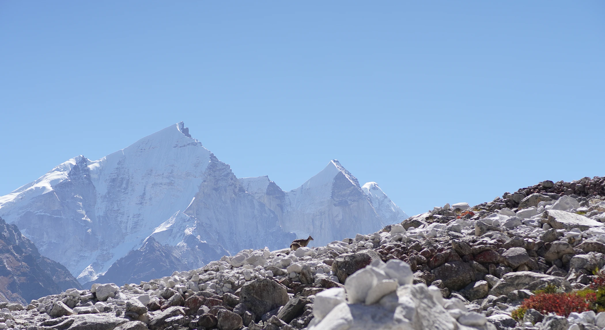 Gaumukh Tapovan Trek