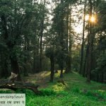 Ali Bedni Bugyal trekking package