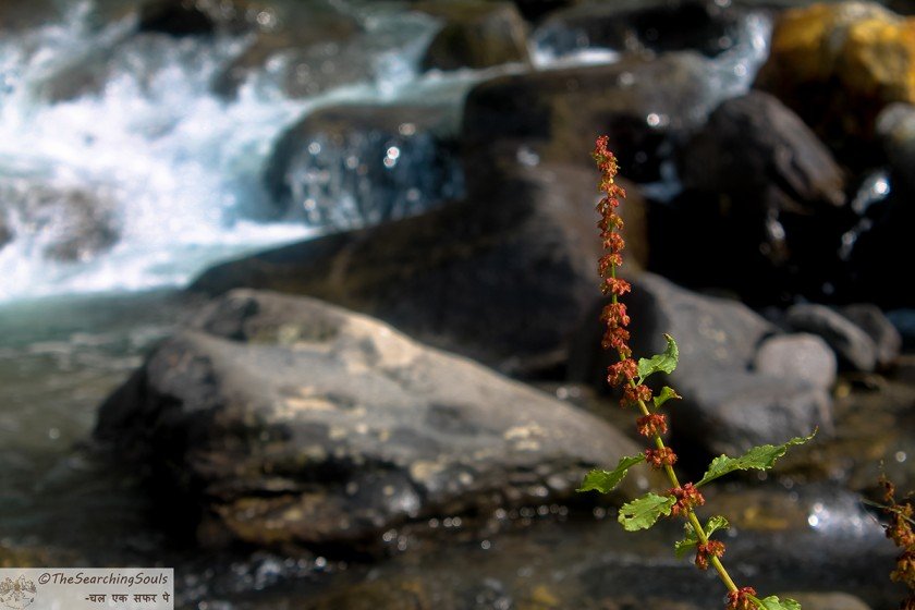 Hampta pass river view