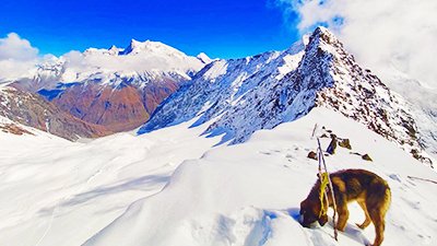 gomukh trek km