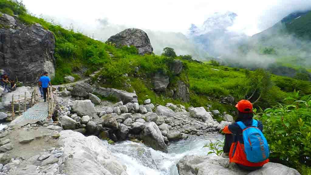 Valley of flowers and Hemkund Sahib