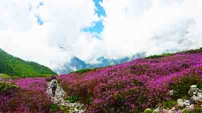 hampta pass trek from delhi