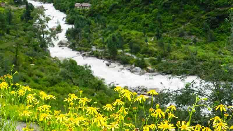 Kasol River View