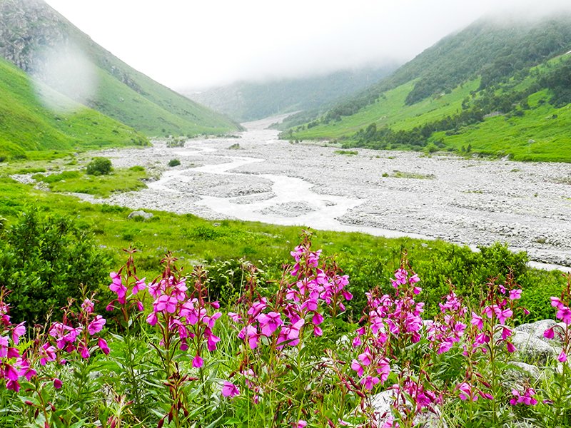 valley of flowers uttarakhand best time to visit